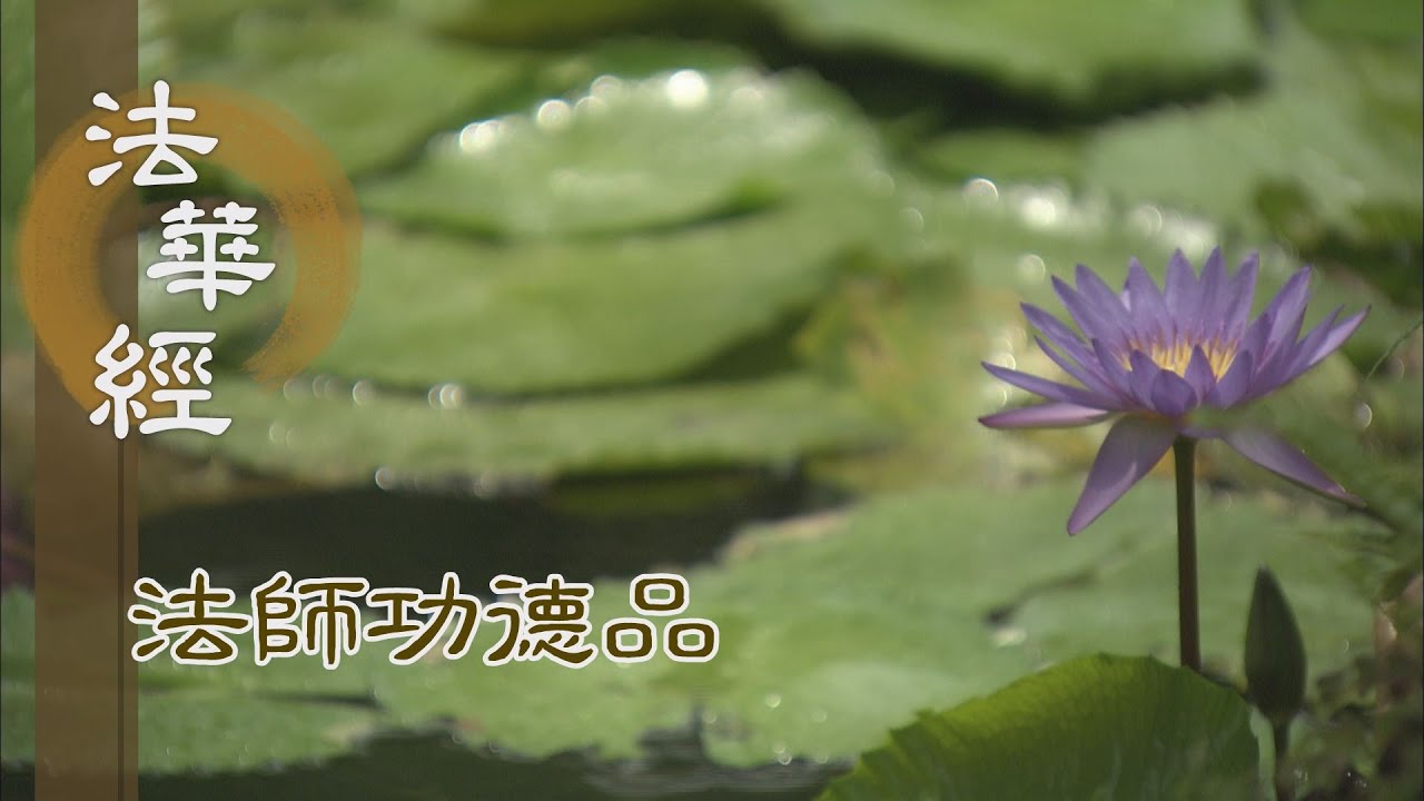 【靜思妙蓮華】法華經 法師功德品 - 精進勇猛 滿善為業 - 第1695集 20240611