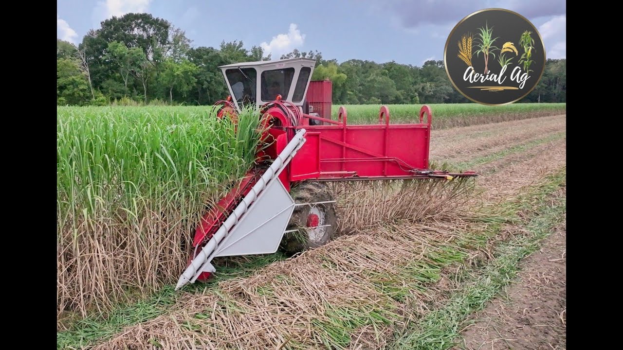 2024 Louisiana Sugarcane Planting 4K