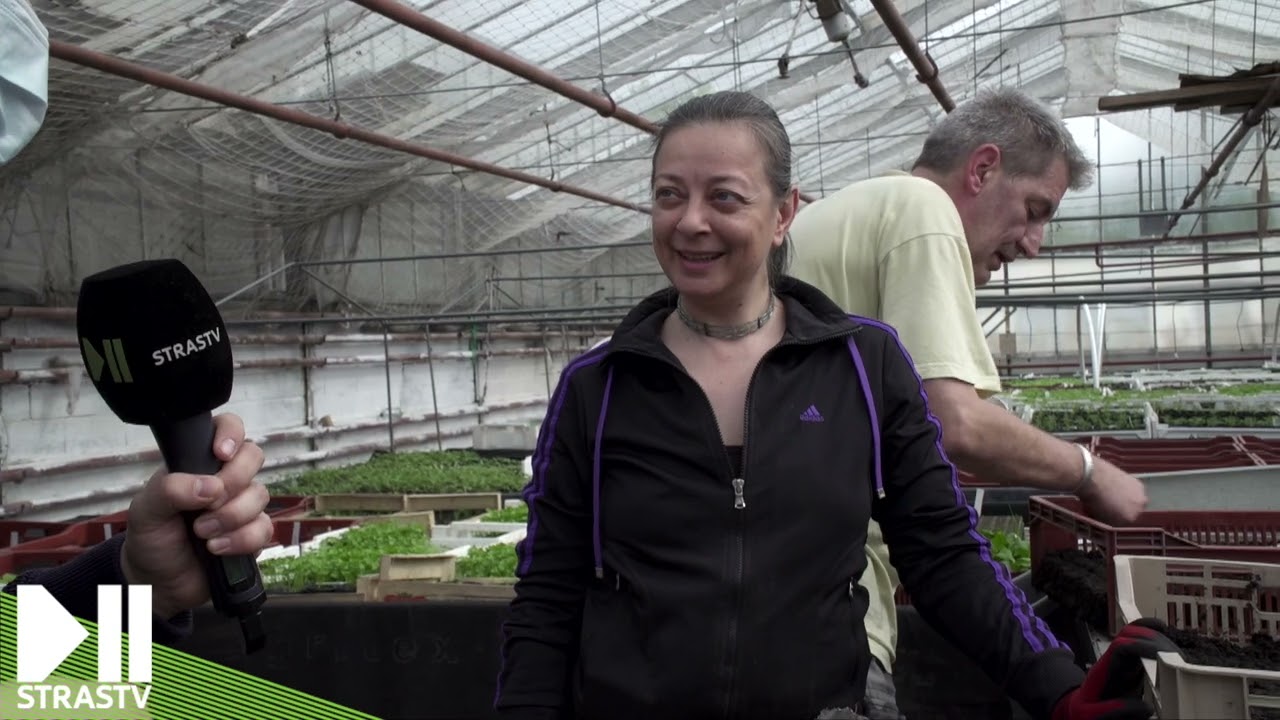 Les Jardins de la Montagne Verte : bio et solidaire