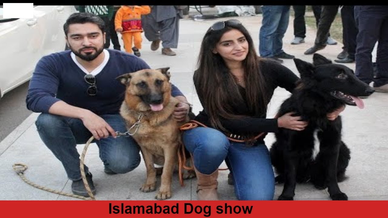 Islamabad Dog show