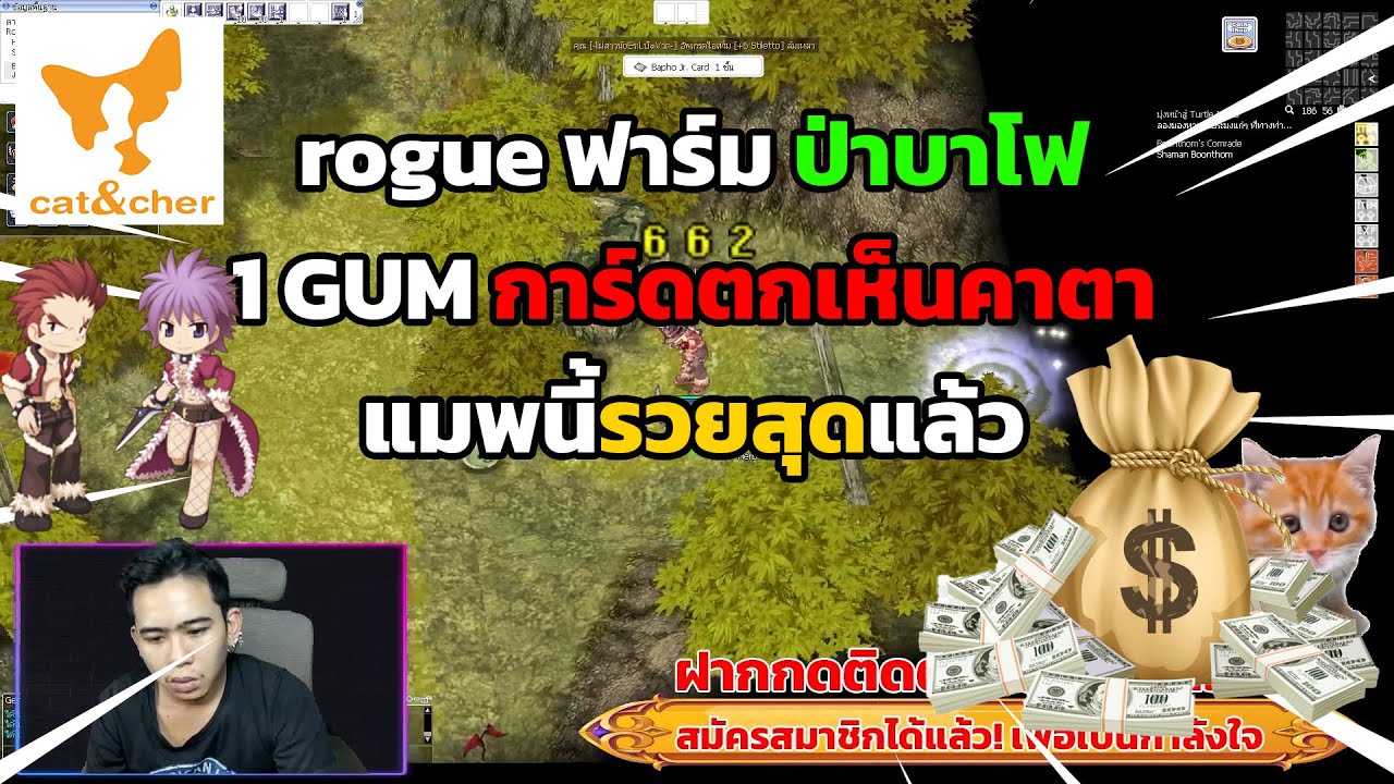 ragnarok classic Ep 27 rogue ฟาร์ม แมพ ป่าบาโฟ การ์ดตกคาตา 1GUM แมพนี้รวยสุด