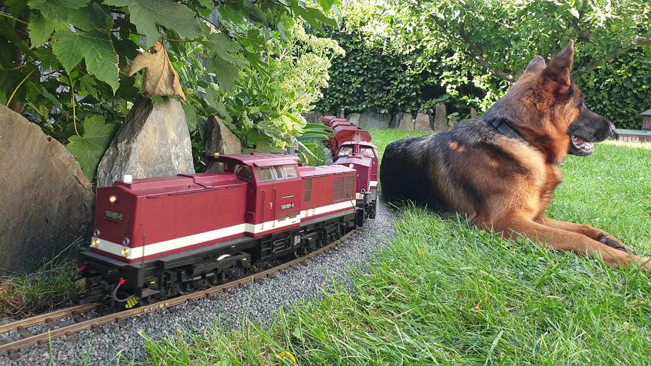 Signale kommen auf der Selketalbahn an