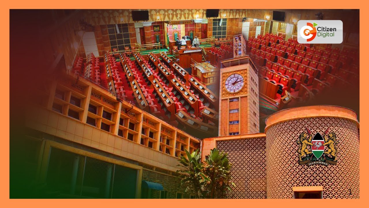 | DAY BREAK | Parliament's 2025 Scorecard [Part 2]