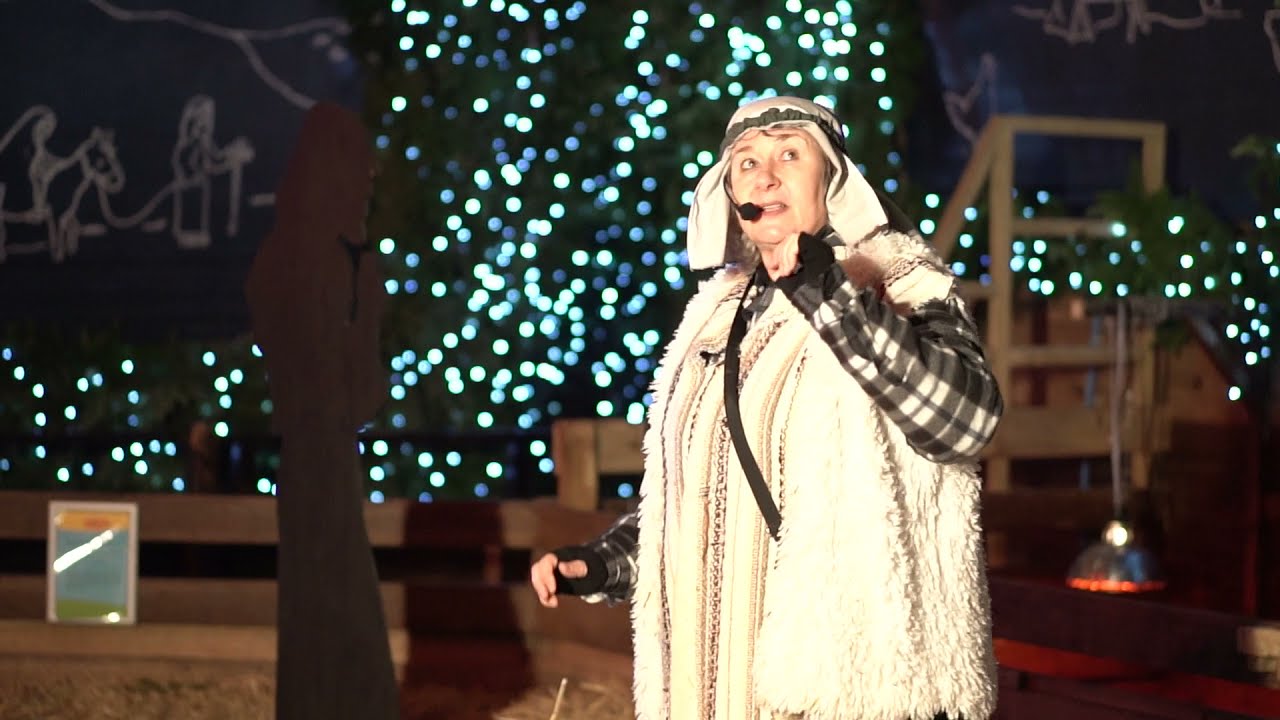 The Pennywell Christmas Experience