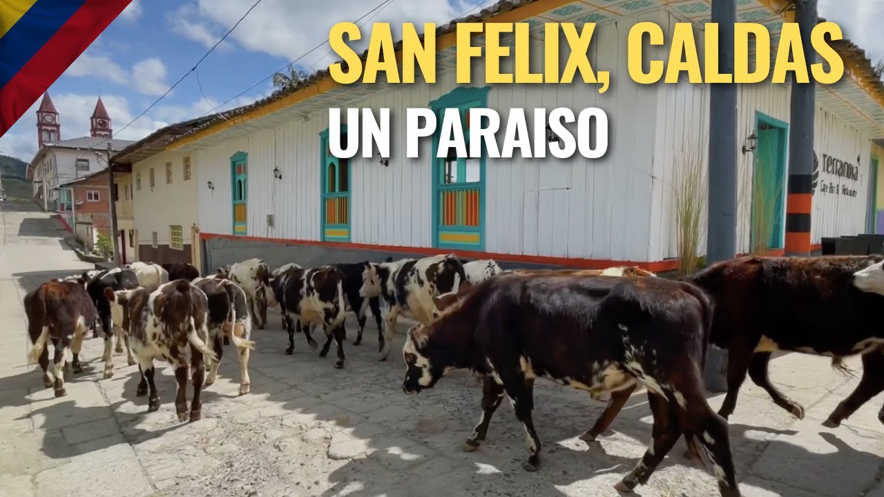 SAN FELIX, Caldas I Destinos Colombia