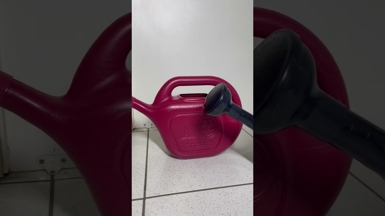 Regador plástico 5 Litros com bico chuveirinho