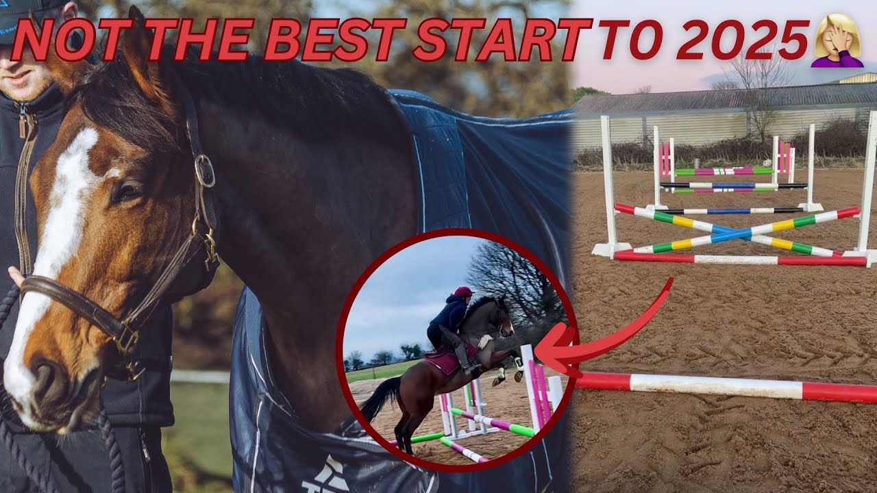 LET’S GET 2025 STARTED ✨ | Updates AND my EX-RACEHORSE jumps his FIRST GRID 🚀