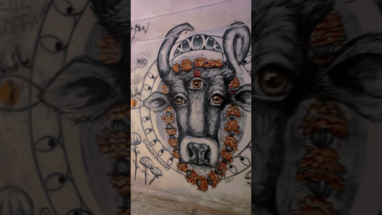 #beatleashram #rishikesh #sajanka #spirtuality