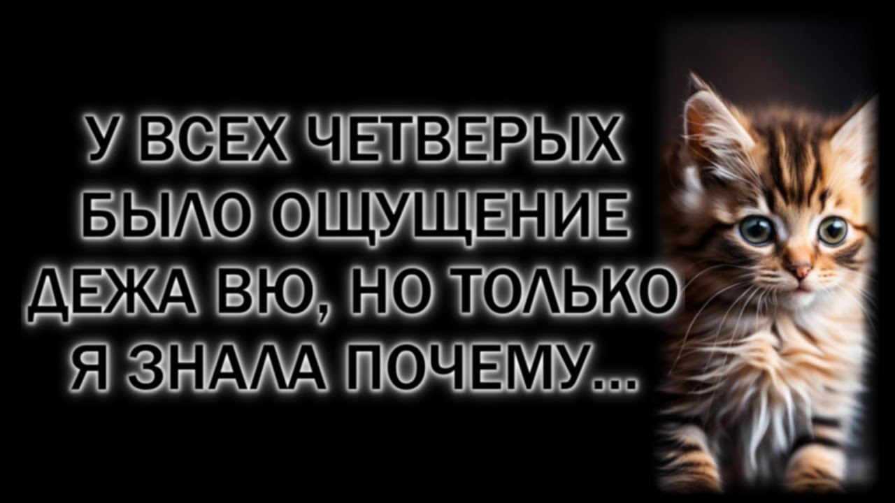 У всех четверых было ощущение дежа вю, но только я знала почему…