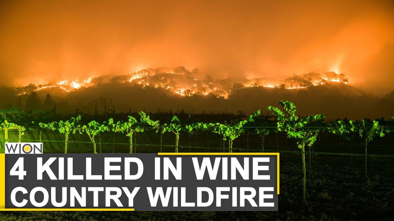 Wildfire destroys Napa's wine country | Pandemic and wildfire cripples business | WION News