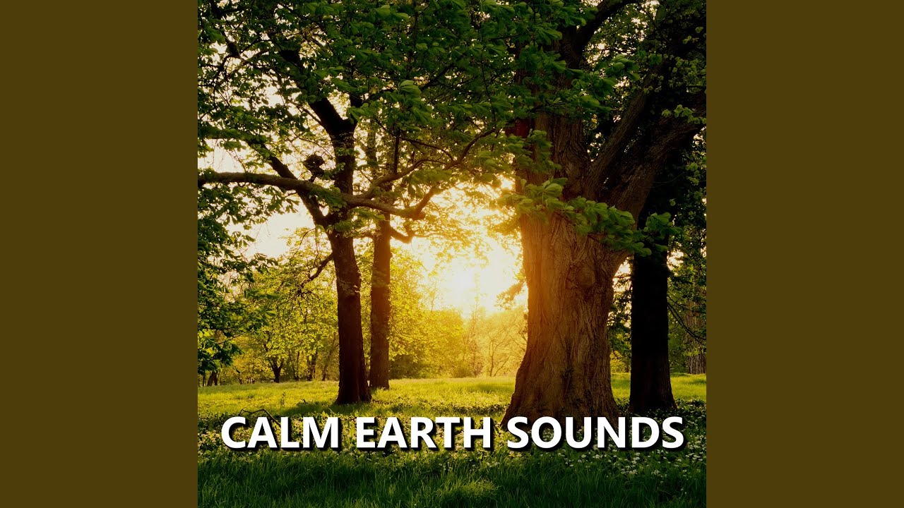 Elegant Garden Nature Sounds