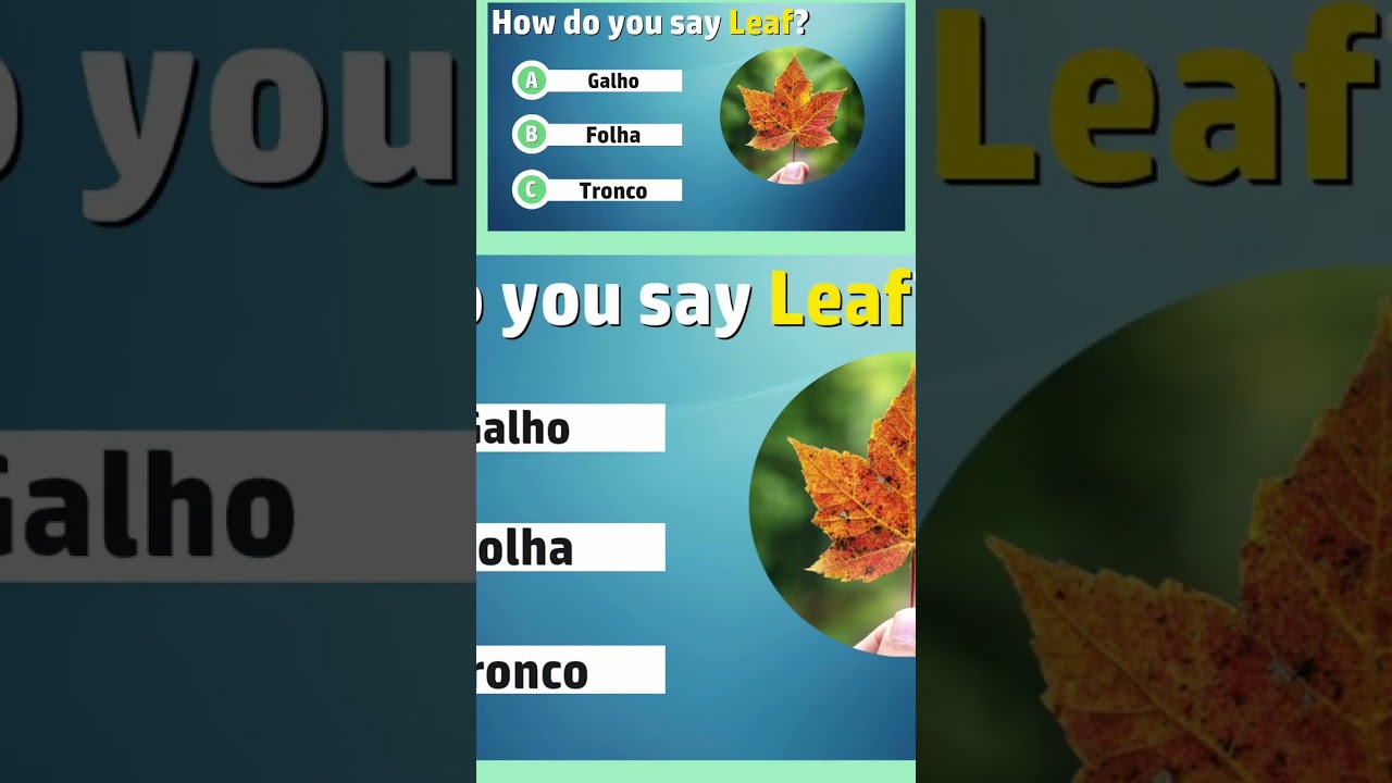 Can You Guess Leaf in Portuguese? 🇧🇷