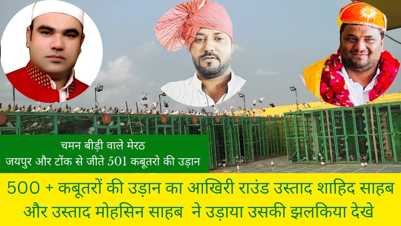 Chaman Bidi Wale 501 Kabutro Ki Udan Jaipur Aur Tonk Se Jete