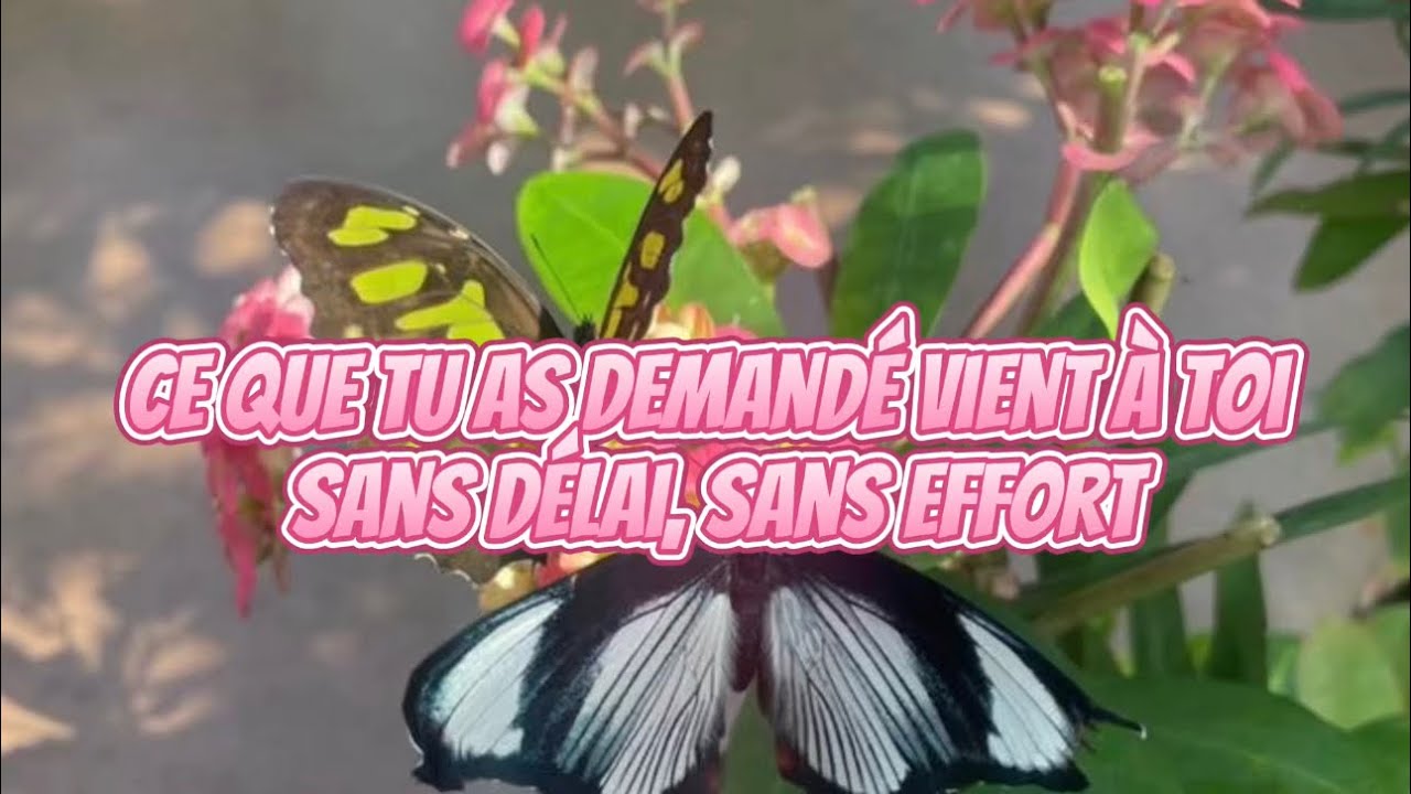 ♛ SUBLIMINAL Ce que tu as demandé vient à toi sans délai, sans effort