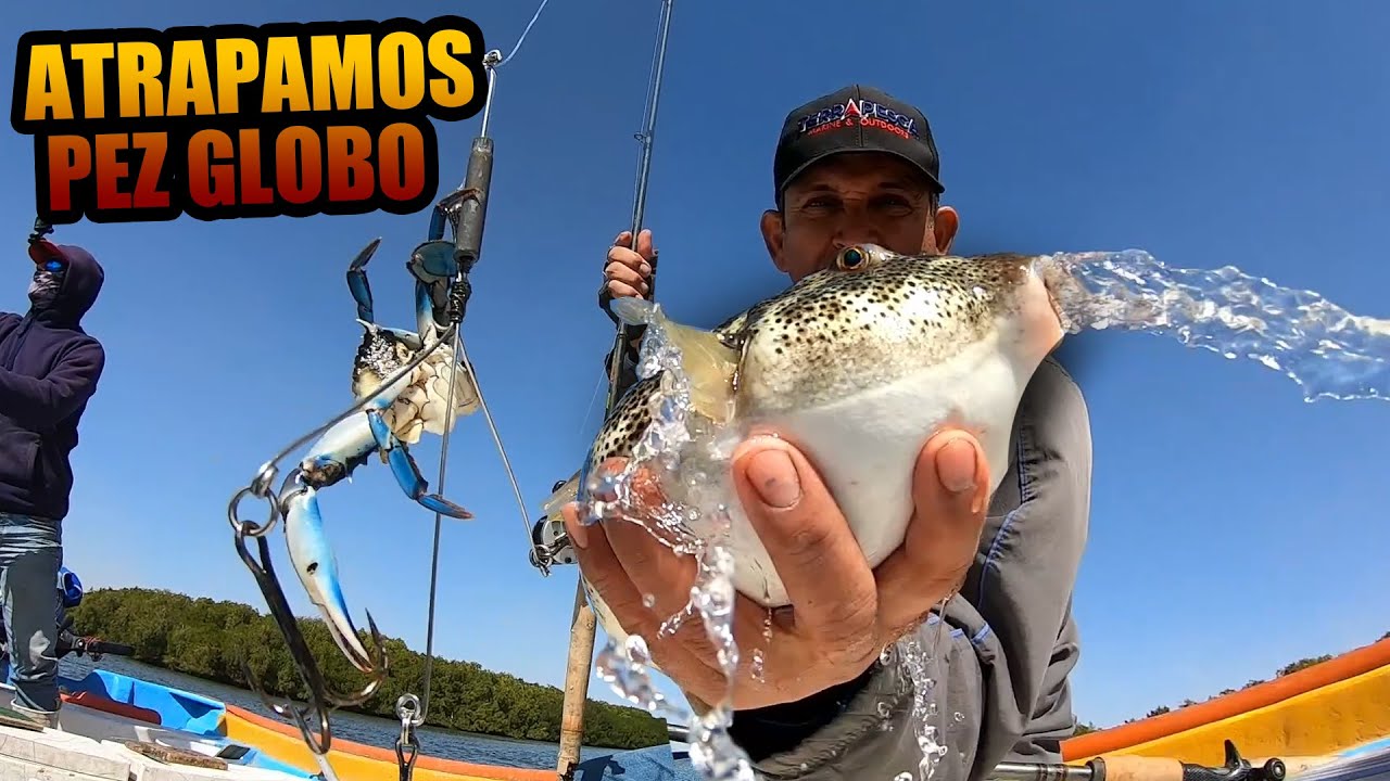 PESCADOR PONE A PRUEBA ESTE INVENTO PARA ATRAPAR PEZ GLOBO | Lupe Lofish