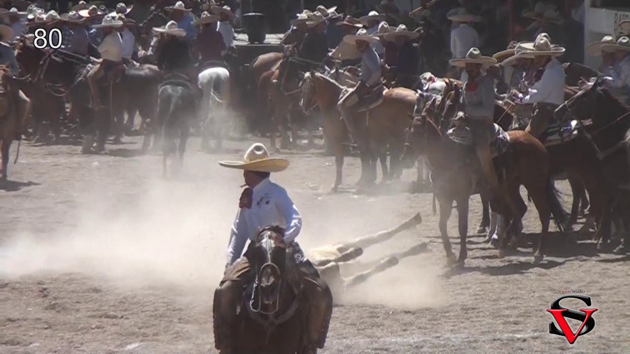 las mejores Coleadas en los Amigos  Mayo 2019