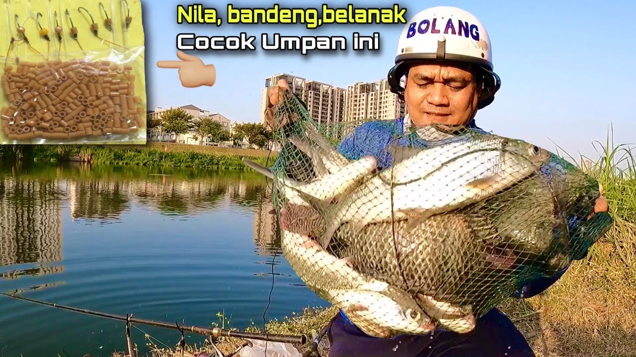 Rekor..! Mancing Ikan Bandeng Liar Dapat Nila Besar Babon Sampai Kuwalahan