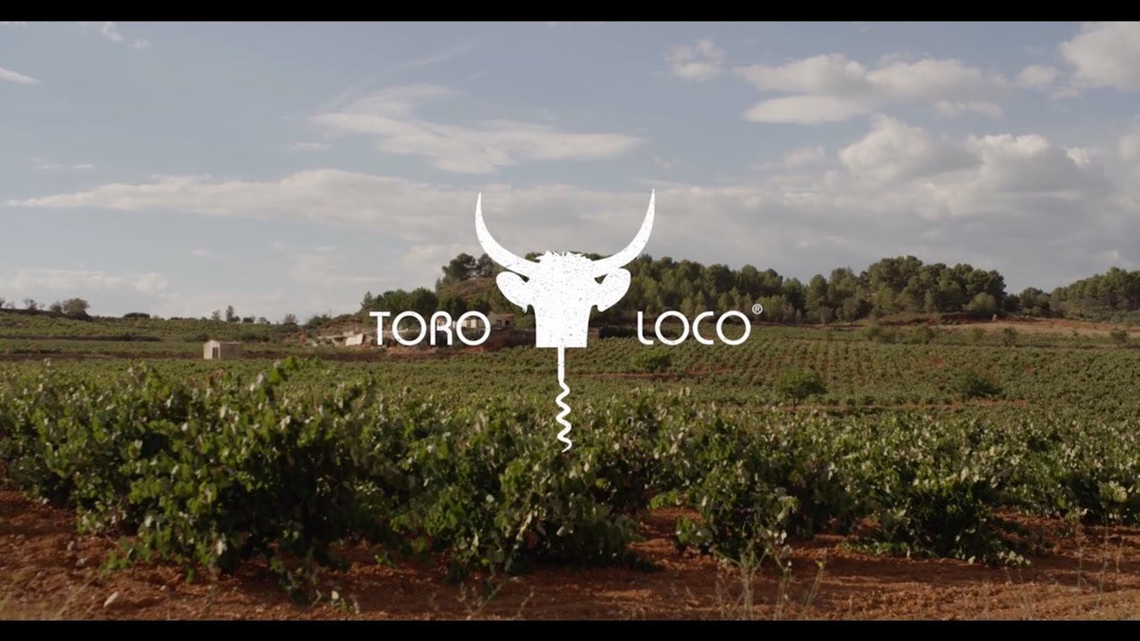 Meet Toro Loco&reg; the great wine from Utiel Requena, Spain
