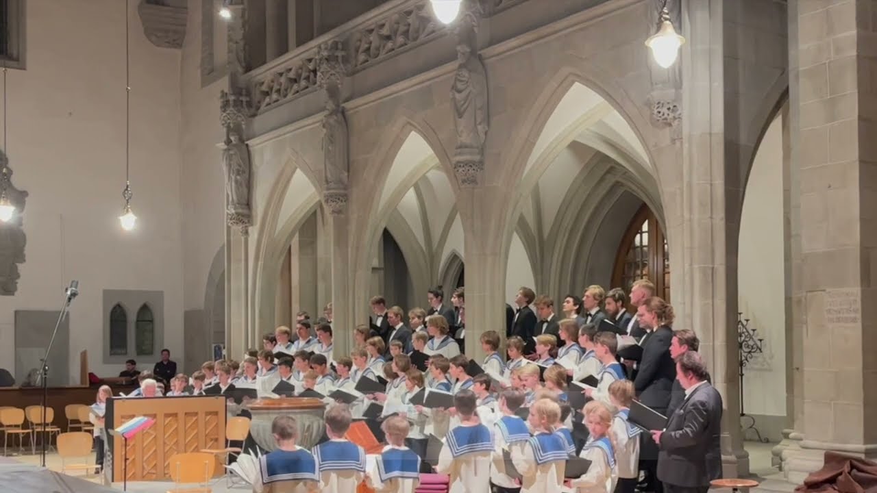 Unter Milliarden von Sternen/ Weihnachtskonzert 2022/ Zürcher Sängerknaben/ T&M Walti Dux
