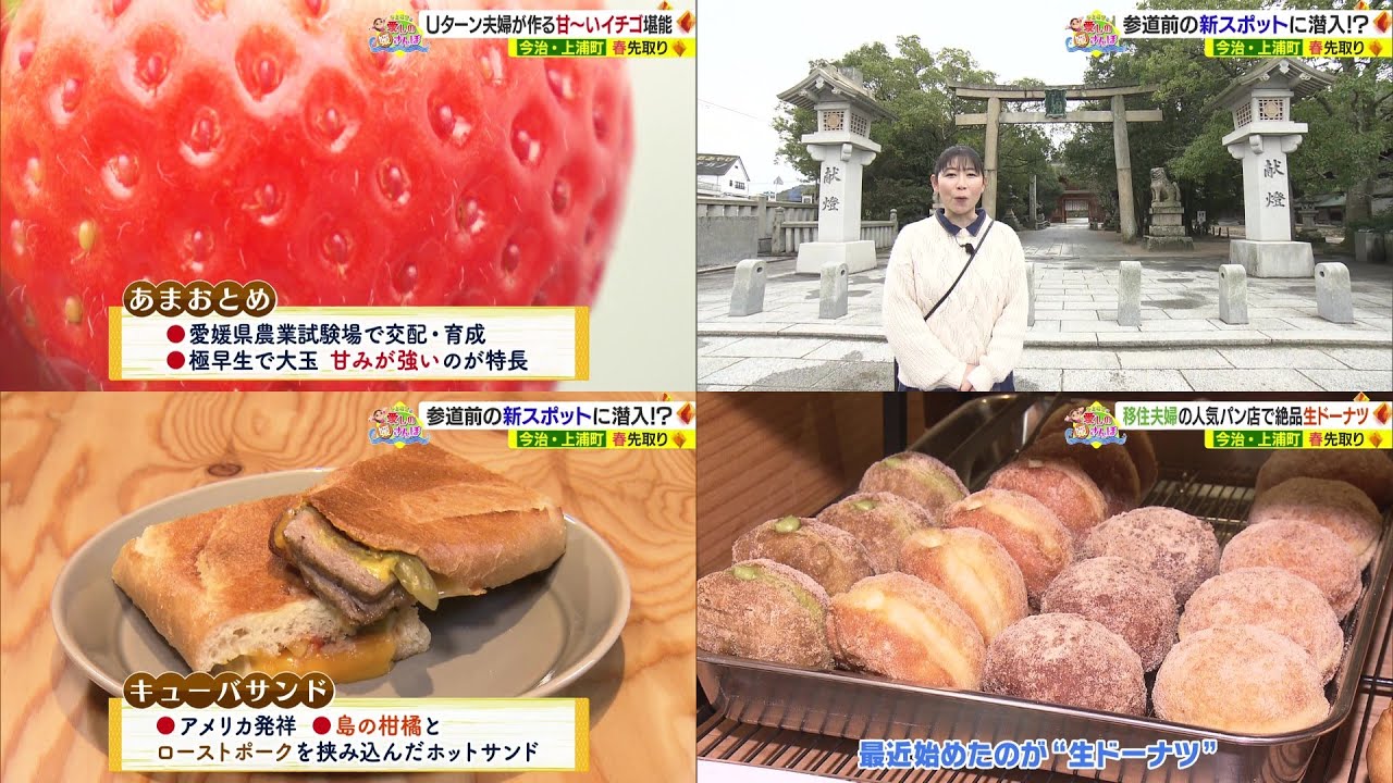 【媛さんぽ】大三島で春を先取り！イチゴ狩り＆絶品の生ドーナツを堪能
