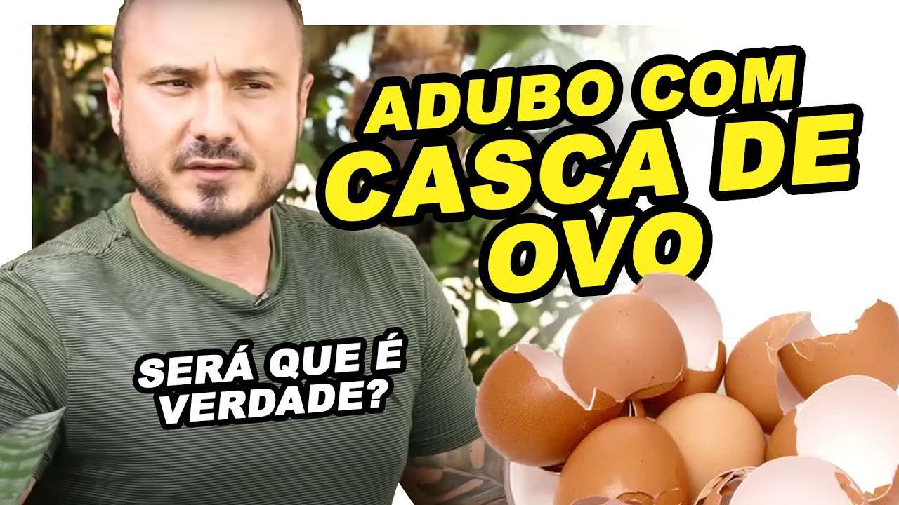 COMO CRIAR SEU PRÓPRIO ADUBO COM CASCA DE OVO | COM MURILO SOARES | SPAGNHOL PLANTAS
