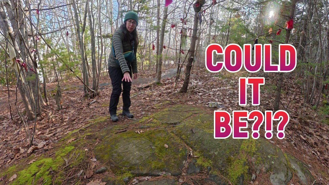 Mi'kmaq Petroglyphs and 