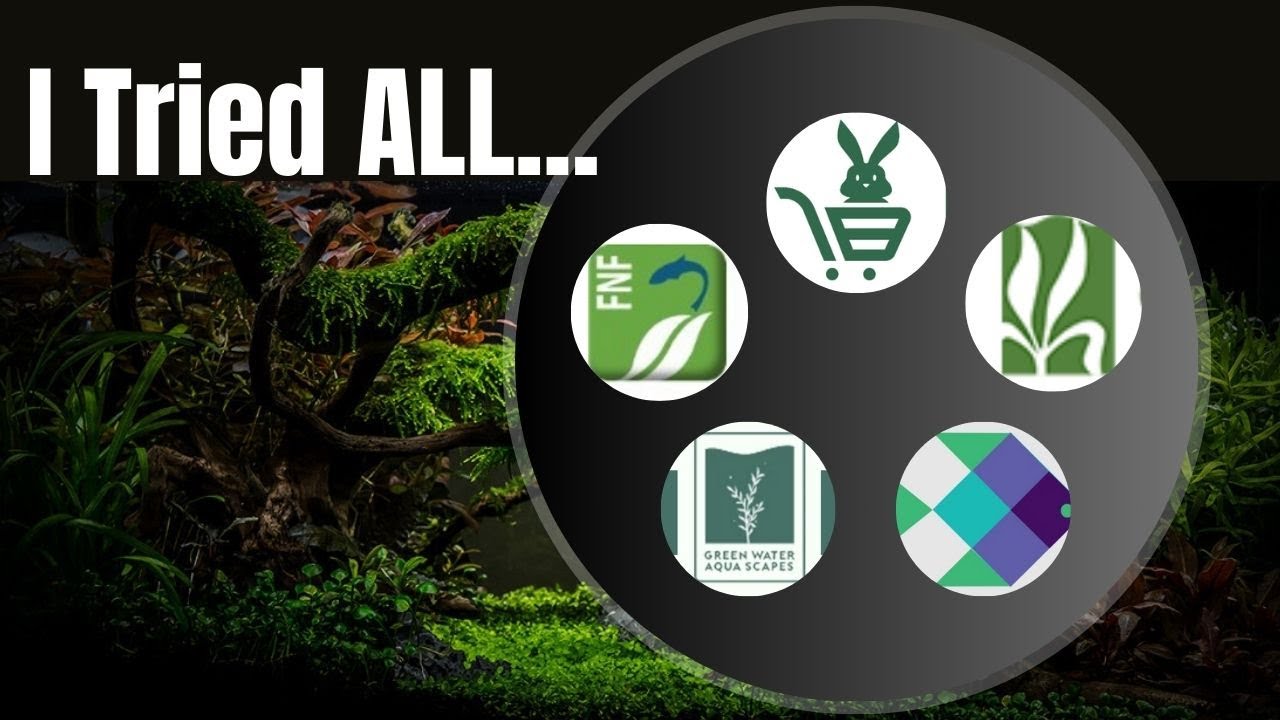 Finding the best Aquatic plant websites in India(2024)!