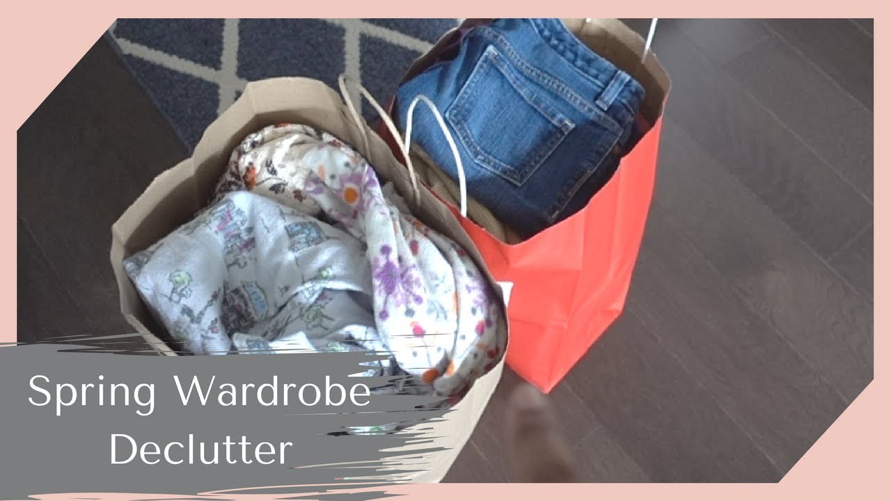 Closet Declutter, Amazon Haul & Adorable Dog Park Playtime | VEDA #14
