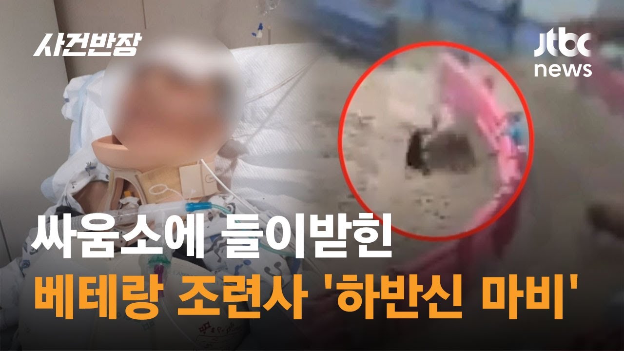 싸움소에 들이받힌 베테랑 조련사 '하반신 마비'…책임은 누가? / JTBC 사건반장