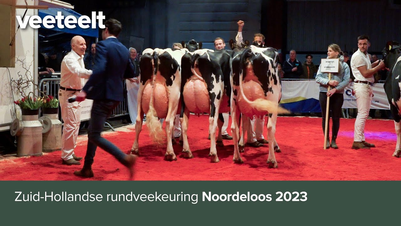 Zuid-Hollandse rundveekeuring Noordeloos 2023