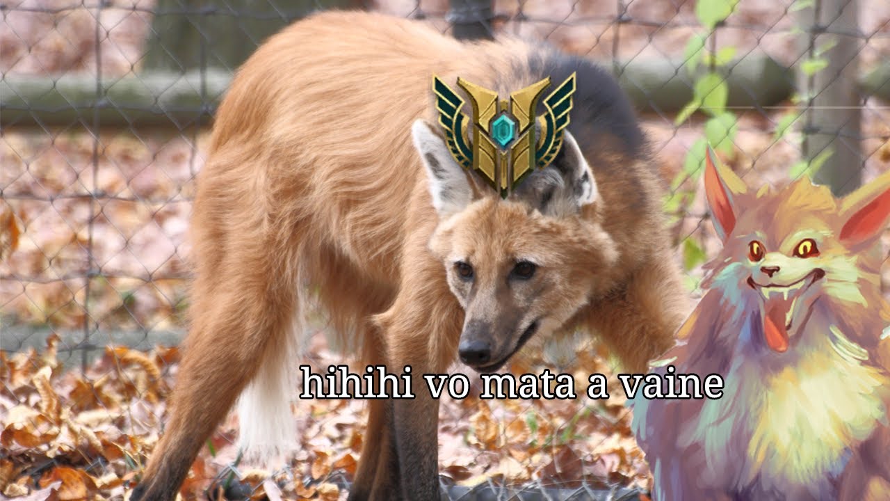 WARWICK MAIS RÁPIDO DO MUNDO ou quase isso...