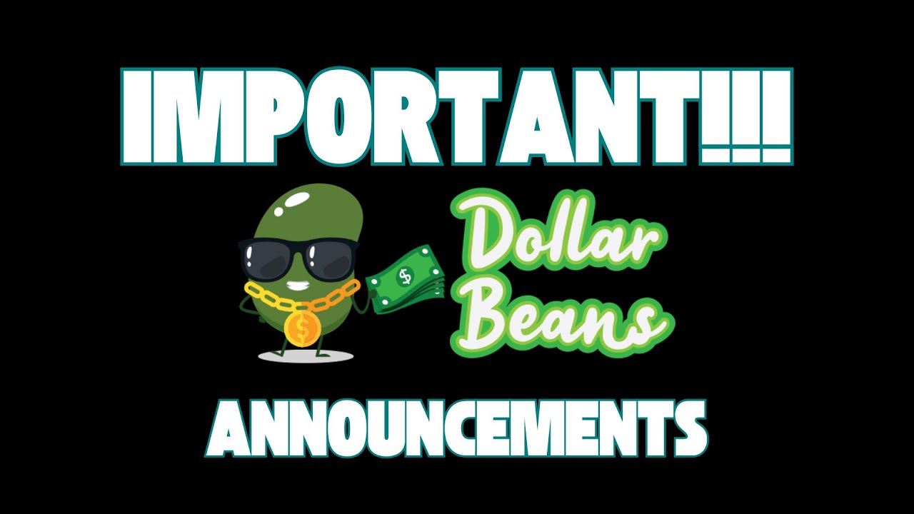 I PAID $1,300 FOR A DEV TO DEVELOP DOLLAR BEANS AND THIS HAPPENED | PLS WATCH THIS IMPORTANT UPDATE