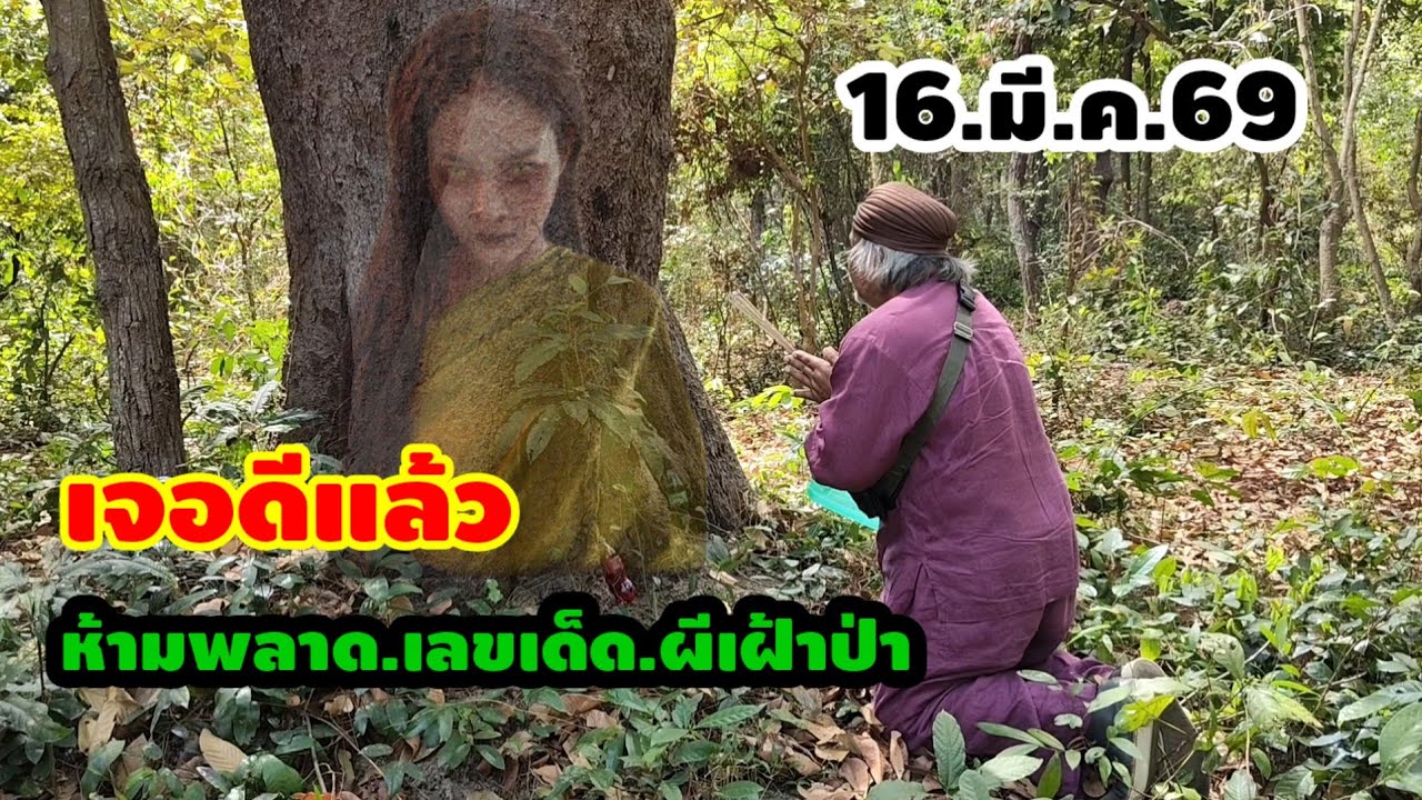 ส่องด่วน.16.มี.ค.69.ผีเฝ้าป่า.ให้เลขเด็ดเม็ดเดียว.ไม่เคารพ.อย่าลบหลู่