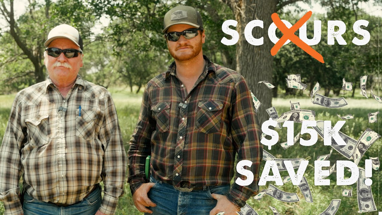 We Cut $15,000 in Feed… and the Cows Were Healthier.