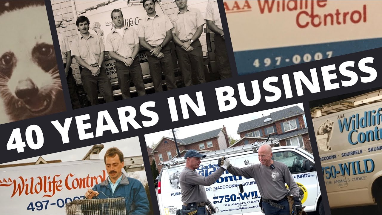 A Journey Through Time: Celebrating 40 Years of Gates Wildlife