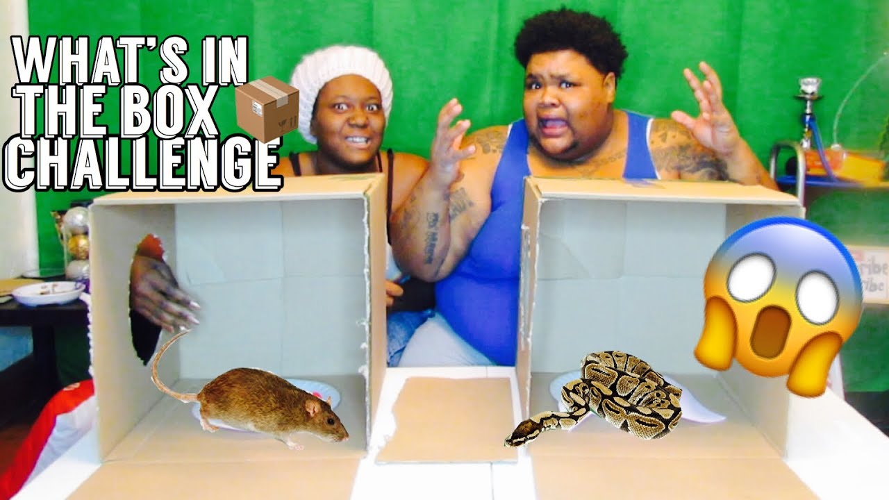 WHATS IN THE BOX CHALLENGE - FUNNIEST ON YT