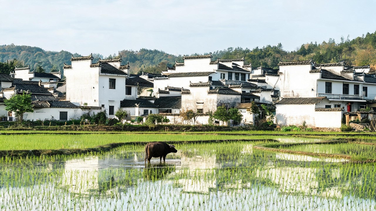 Healing 4K Walk: Find your peace in this hidden Chinese village 🎋#WalkingTour #RuralChina #Village