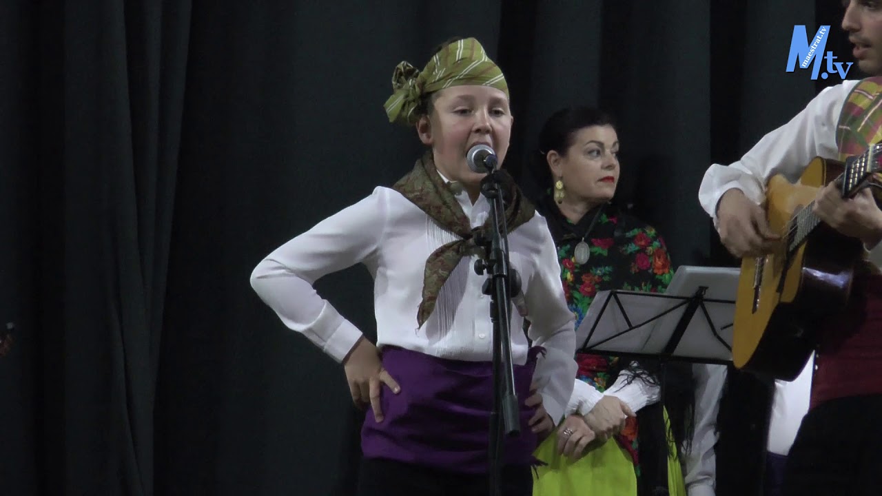 Maestrat Tv - Vinaròs - Festival de Jotes a Carrec del Centre Aragonés