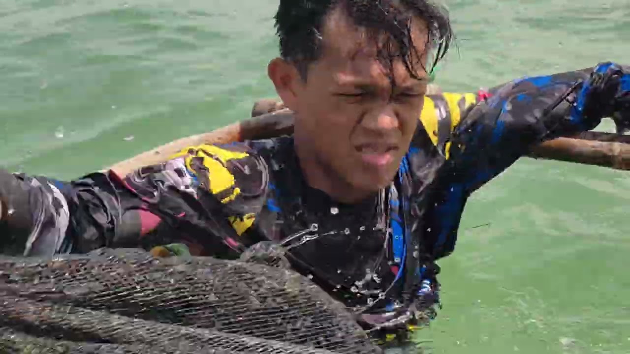 Fish Trap Adventure