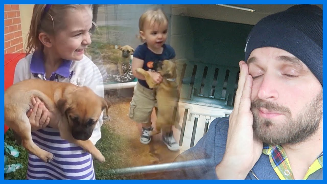 SAYING GOODBYE TO OUR DOG | Sam & Nia