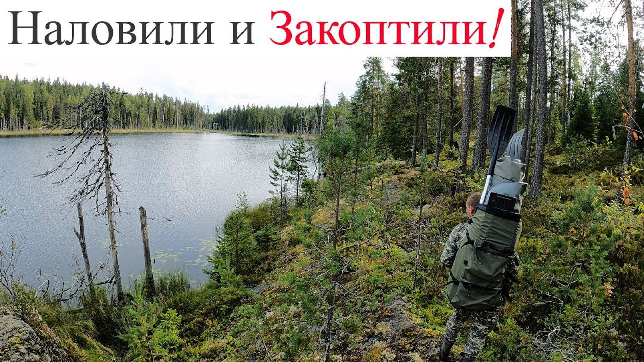 Поход по Северному Лесу к Озеру на Хищника! Закоптили Улов и Поехали к Шалашу Рыбака ! UHD
