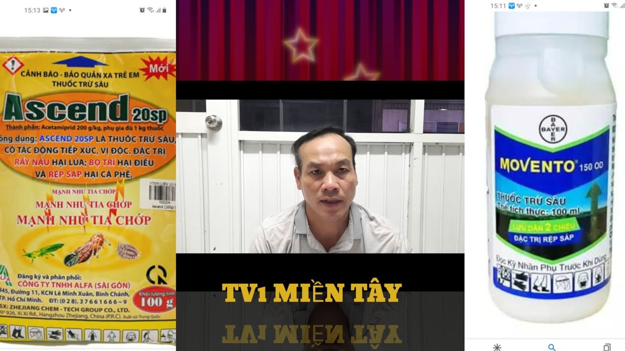 thuốc đặc trị rầy xanh.95 HẬU GIANG