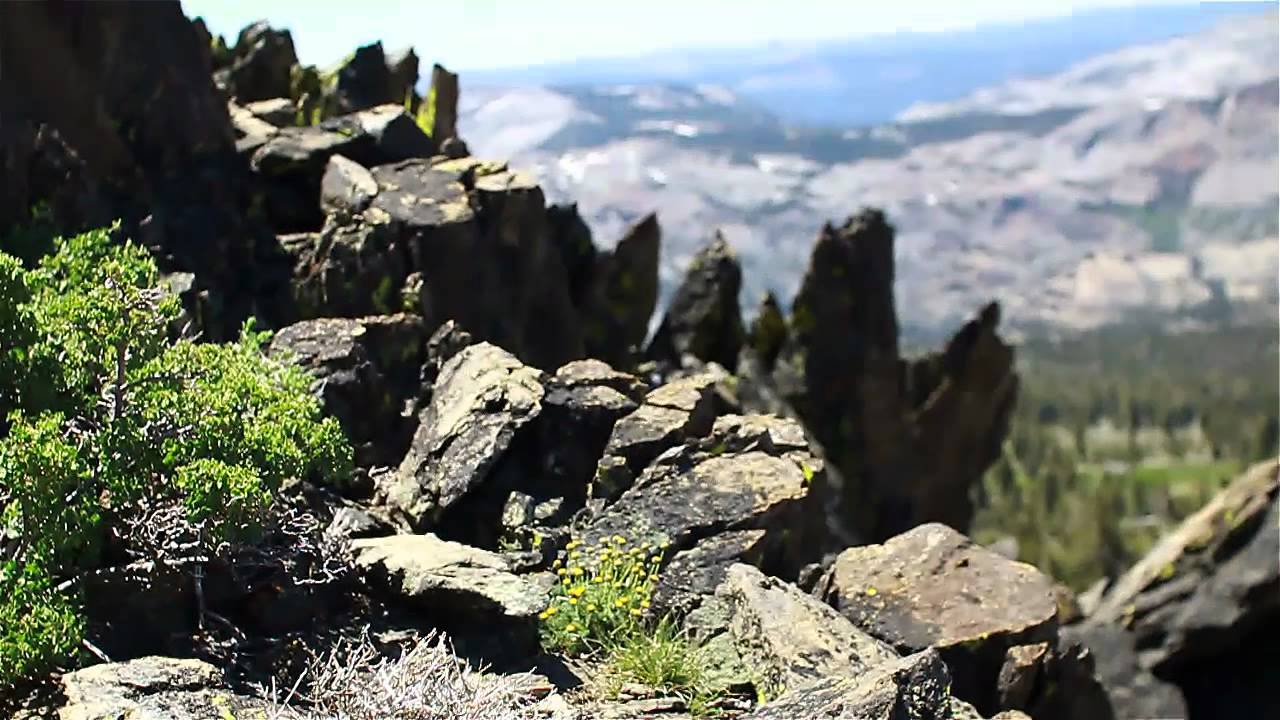 Smoke Session - Tahoe OG in Tahoe