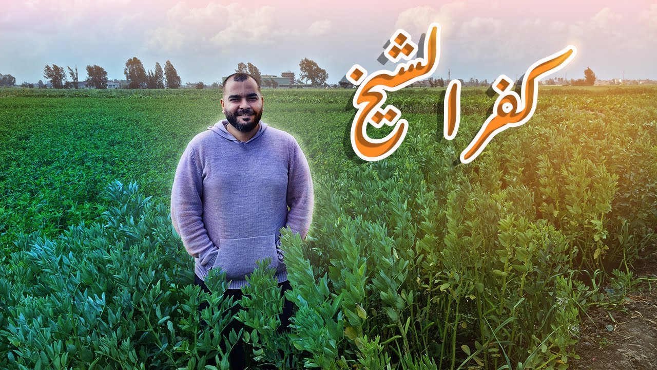 كفر الشيخ -  vlog فلوج اجواء الريف المصريه الجميله - في رمضان
