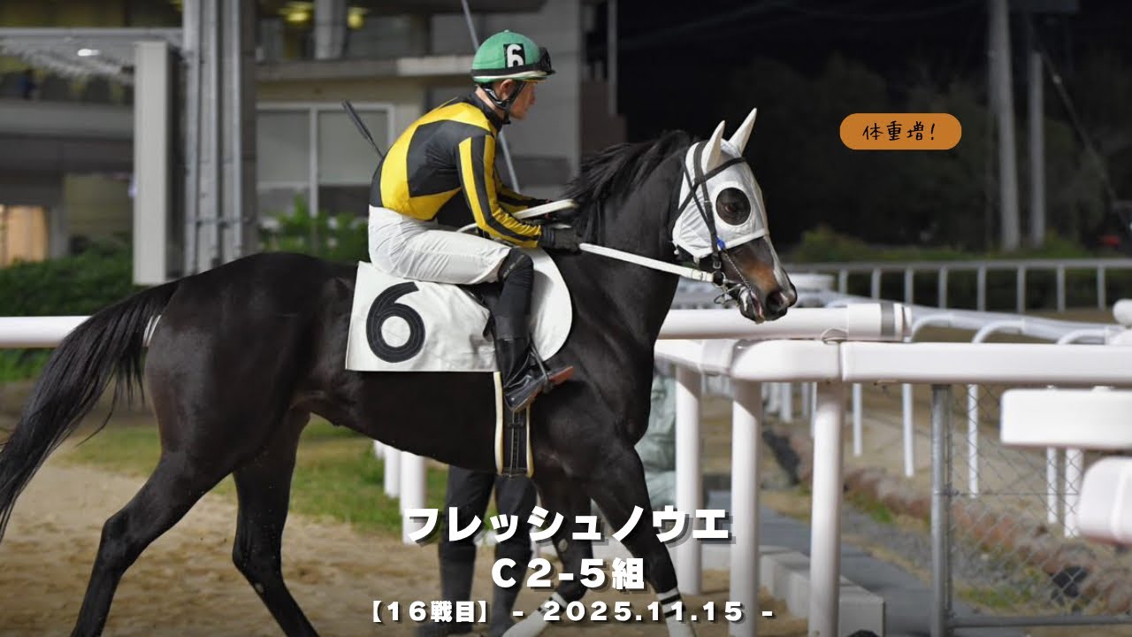 【佐賀競馬】フレッシュノウエ１６戦目