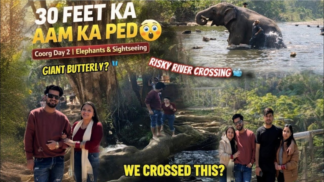 @kkforevervlogs Coorg Day 2 with her 💑 | Elephants, River Crossing & 30 FEET Mango Tree😱