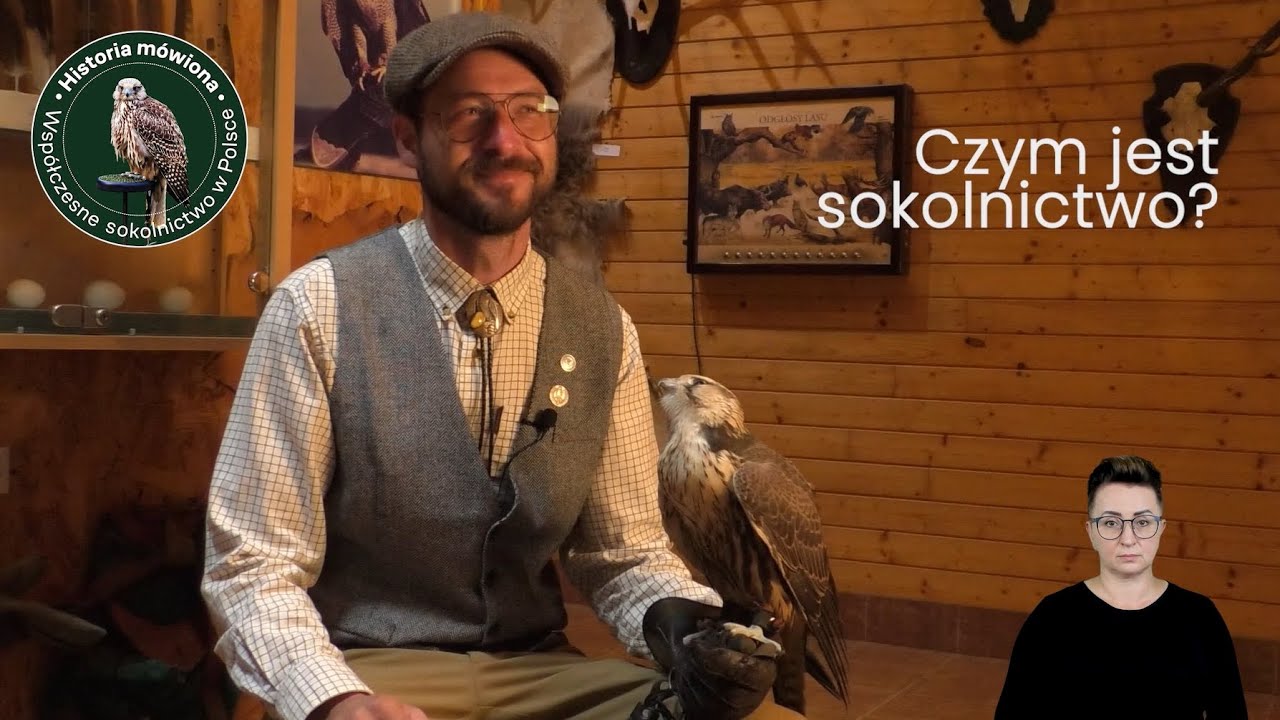 Współczesne sokolnictwo w Polsce - historia mówiona / opowiada Michał Pszczółka
