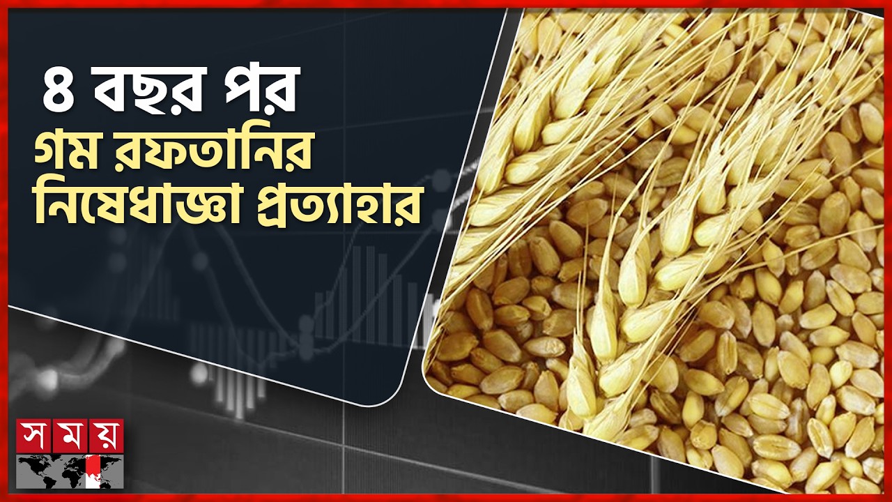 গম রফতানির নিষেধাজ্ঞা তুলে নিল ভারত, আমদানির প্রস্তুতি ব্যবসায়ীদের | Wheat Export | Benapol News