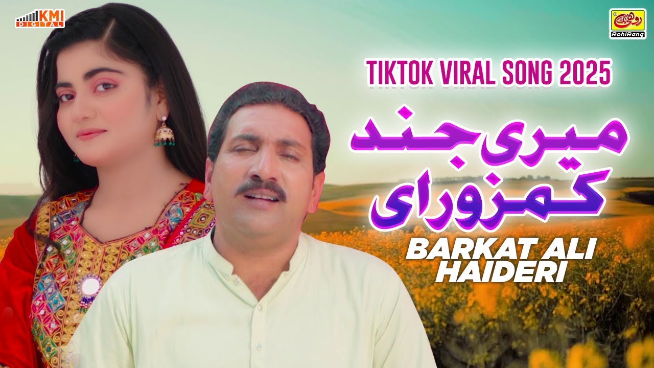 Meri Jind Kamzoor Ae | Barkat Ali Haideri | New TikTok Viral Song