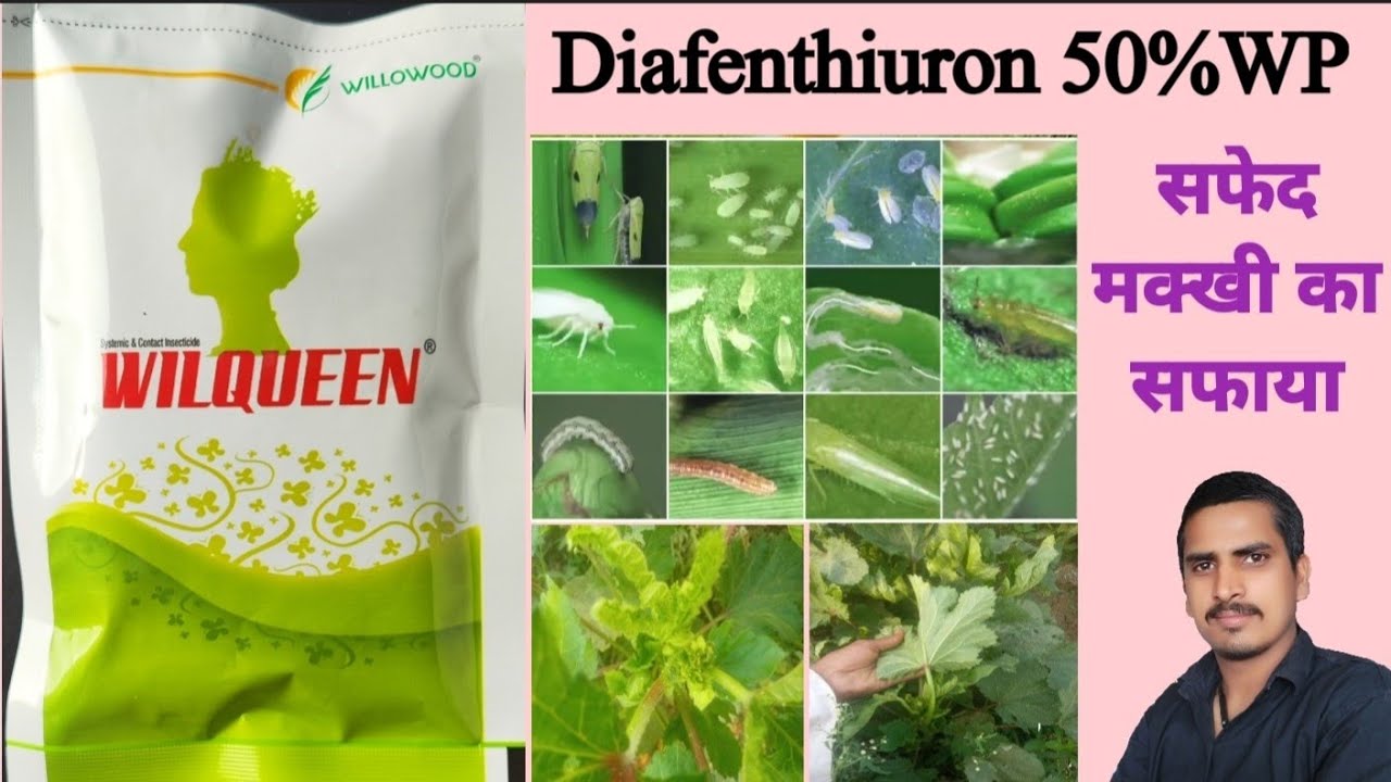 инсектицид диафентиурон 50 wp hindi|diafenthiuron 50 wp insecticide